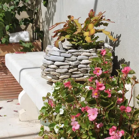 Apartments And Rooms By The Sea Korcula - 9267