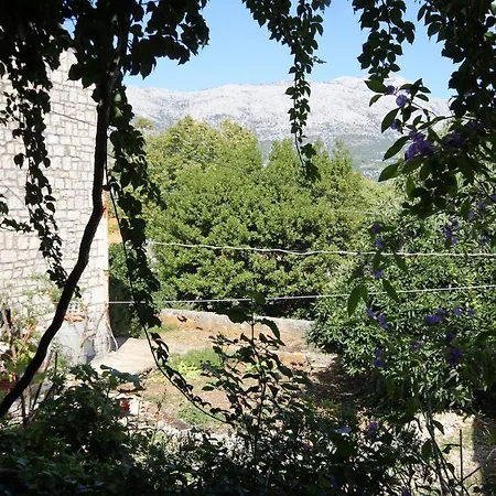 Apartments And Rooms By The Sea Korcula - 9267