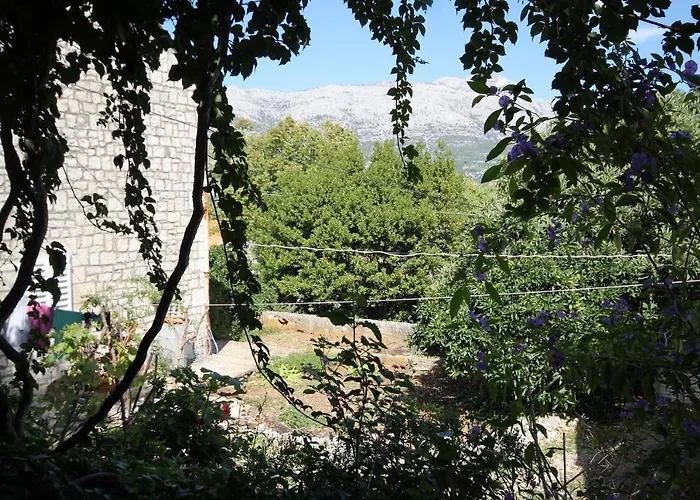 Apartments And Rooms By The Sea Korcula - 9267